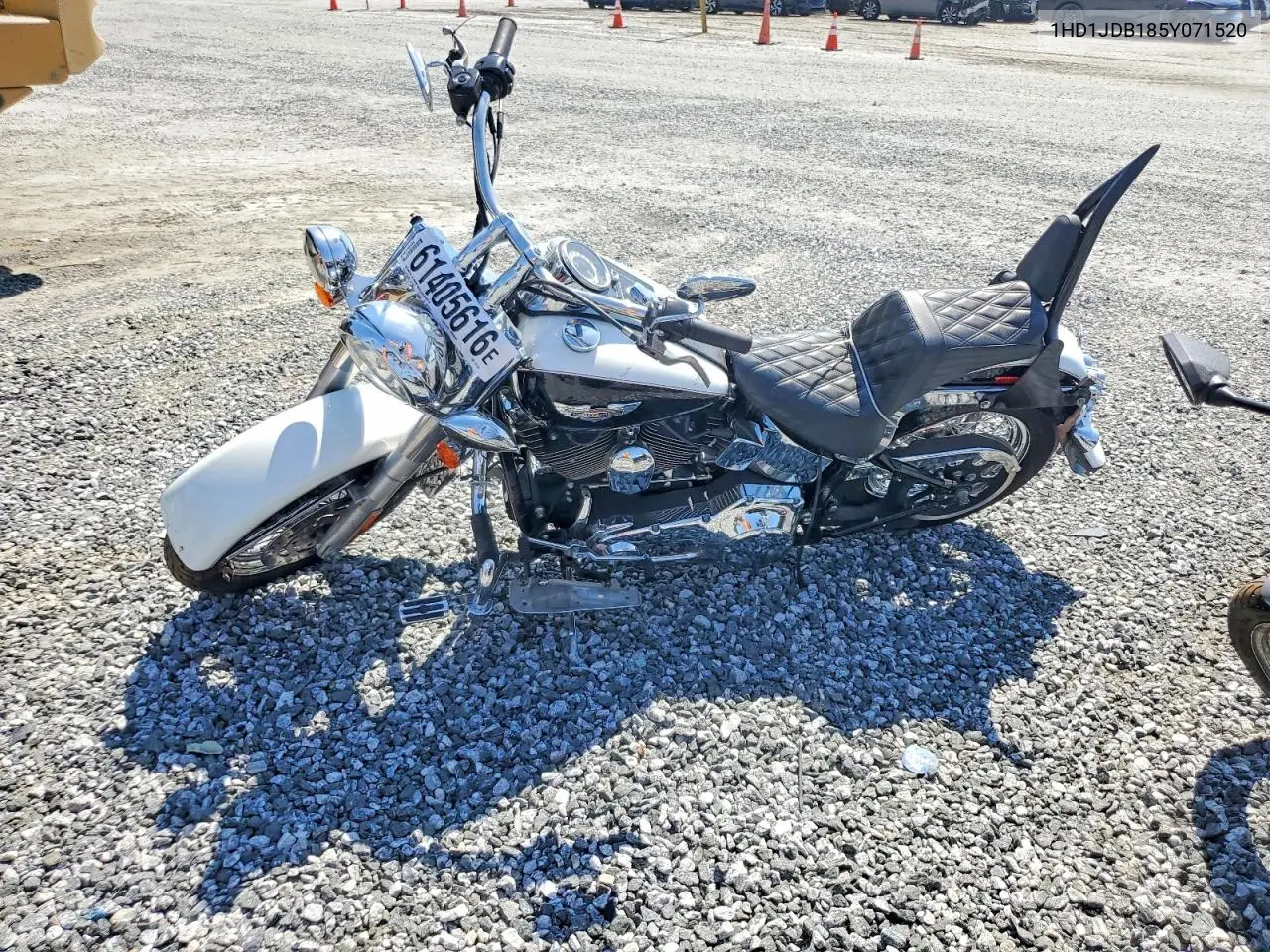 2005 Harley-Davidson Flstni VIN: 1HD1JDB185Y071520 Lot: 61405616