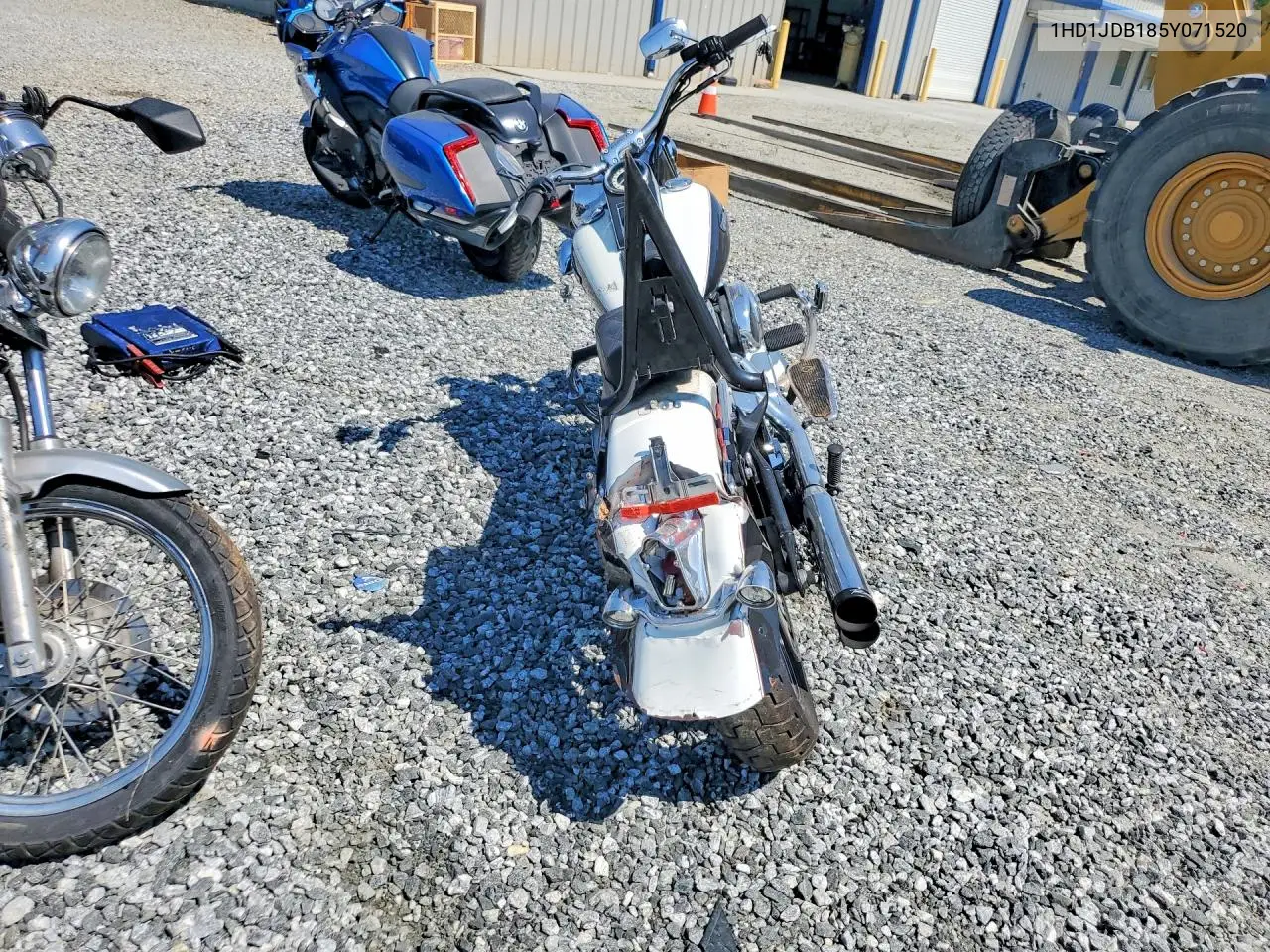 2005 Harley-Davidson Flstni VIN: 1HD1JDB185Y071520 Lot: 61405616