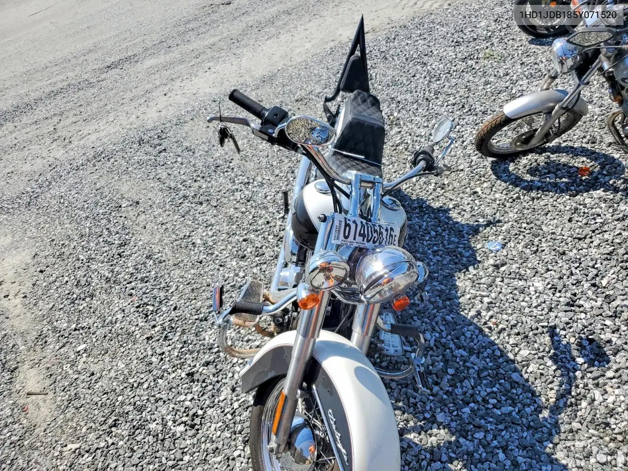 2005 Harley-Davidson Flstni VIN: 1HD1JDB185Y071520 Lot: 61405616
