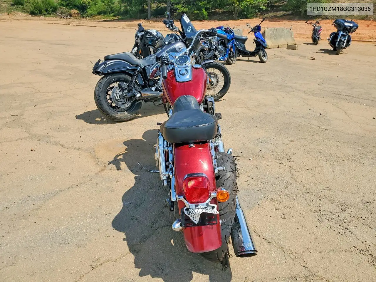 2016 Harley-Davidson Fld Switchback VIN: 1HD1GZM18GC313036 Lot: 60679966