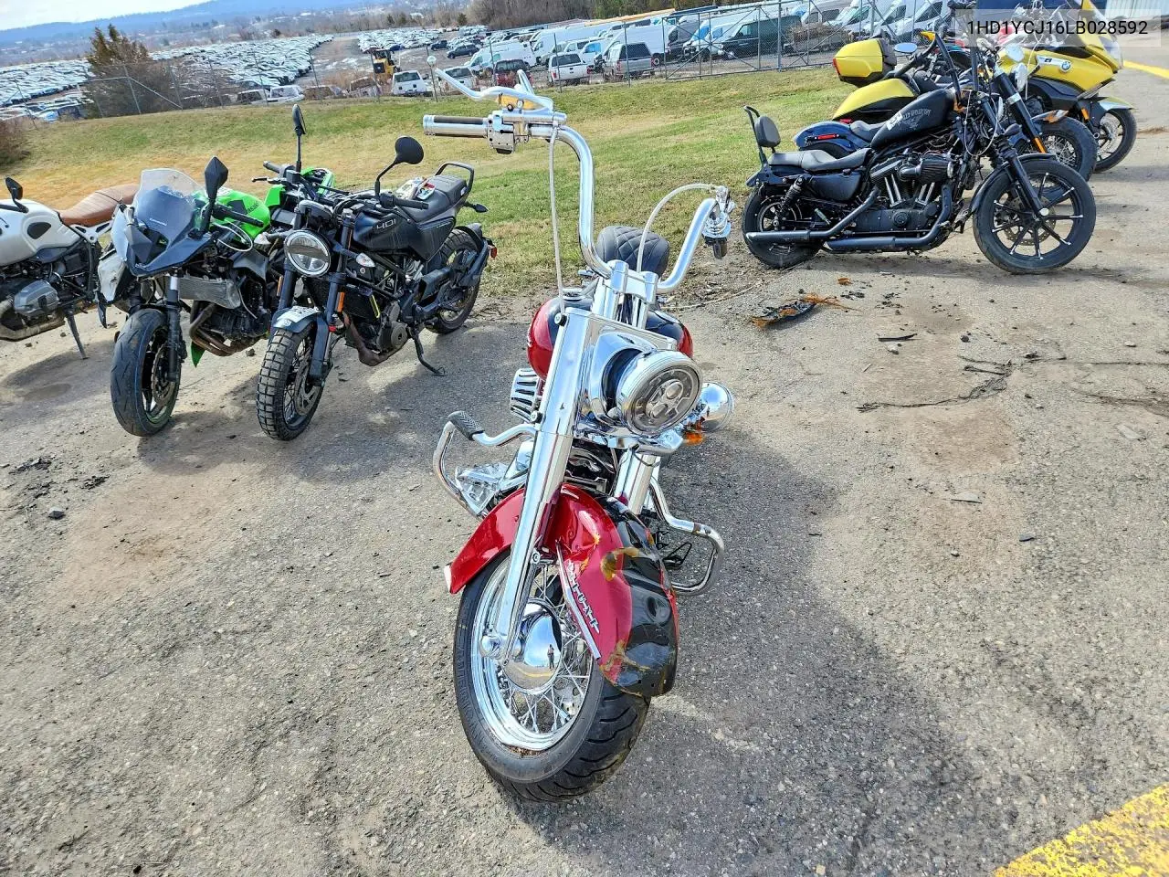 2020 Harley-Davidson Flde VIN: 1HD1YCJ16LB028592 Lot: 46100076