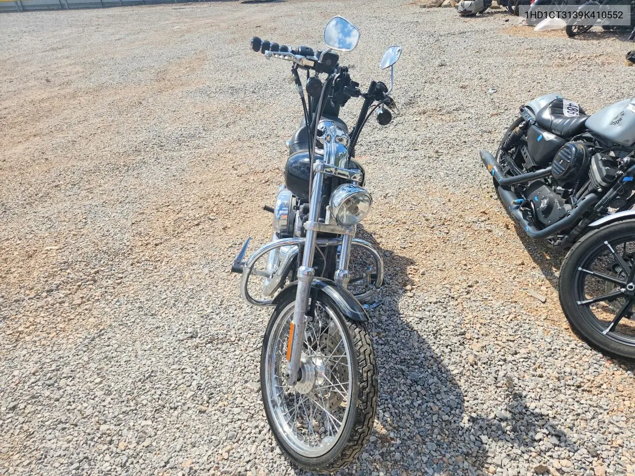 sportster