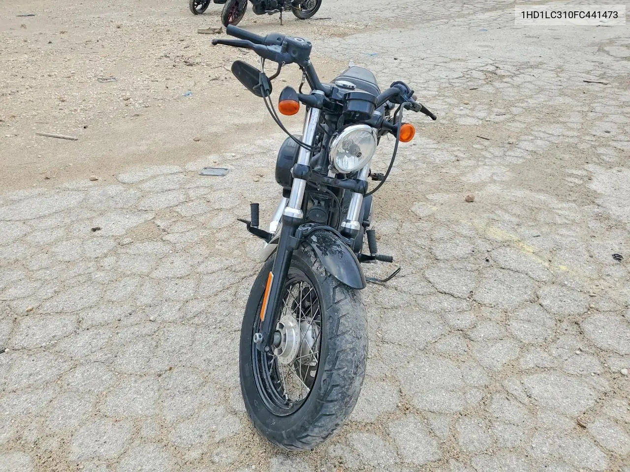 2015 Harley-Davidson Xl1200 Forty-Eight VIN: 1HD1LC310FC441473 Lot: 49608216