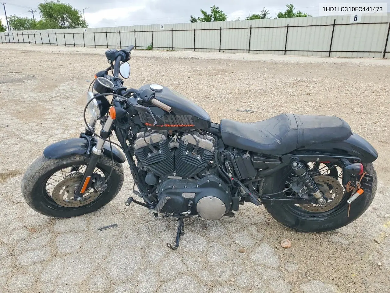 2015 Harley-Davidson Xl1200 Forty-Eight VIN: 1HD1LC310FC441473 Lot: 49608216