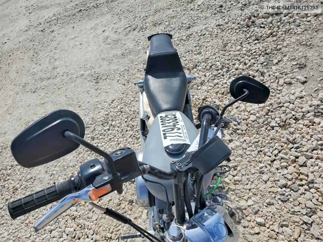 sportster