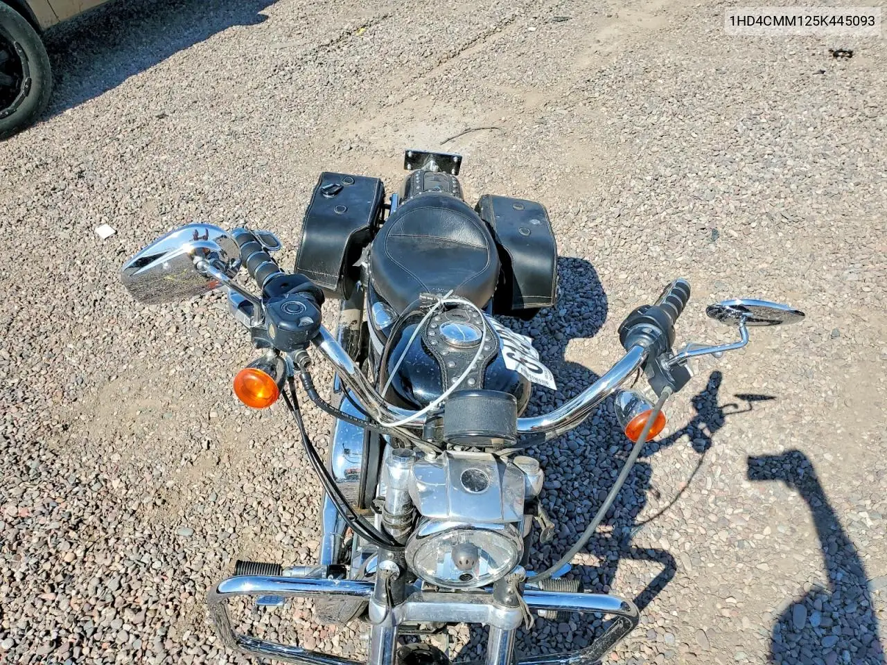 2005 Harley-Davidson Xl883 L VIN: 1HD4CMM125K445093 Lot: 61431106