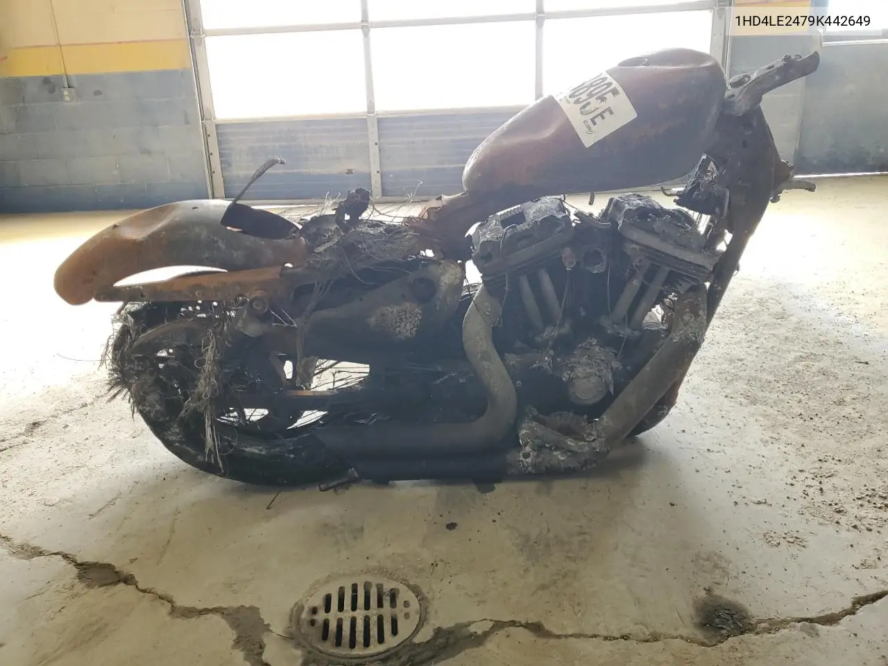 2009 Harley-Davidson Xl883 N VIN: 1HD4LE2479K442649 Lot: 78175925