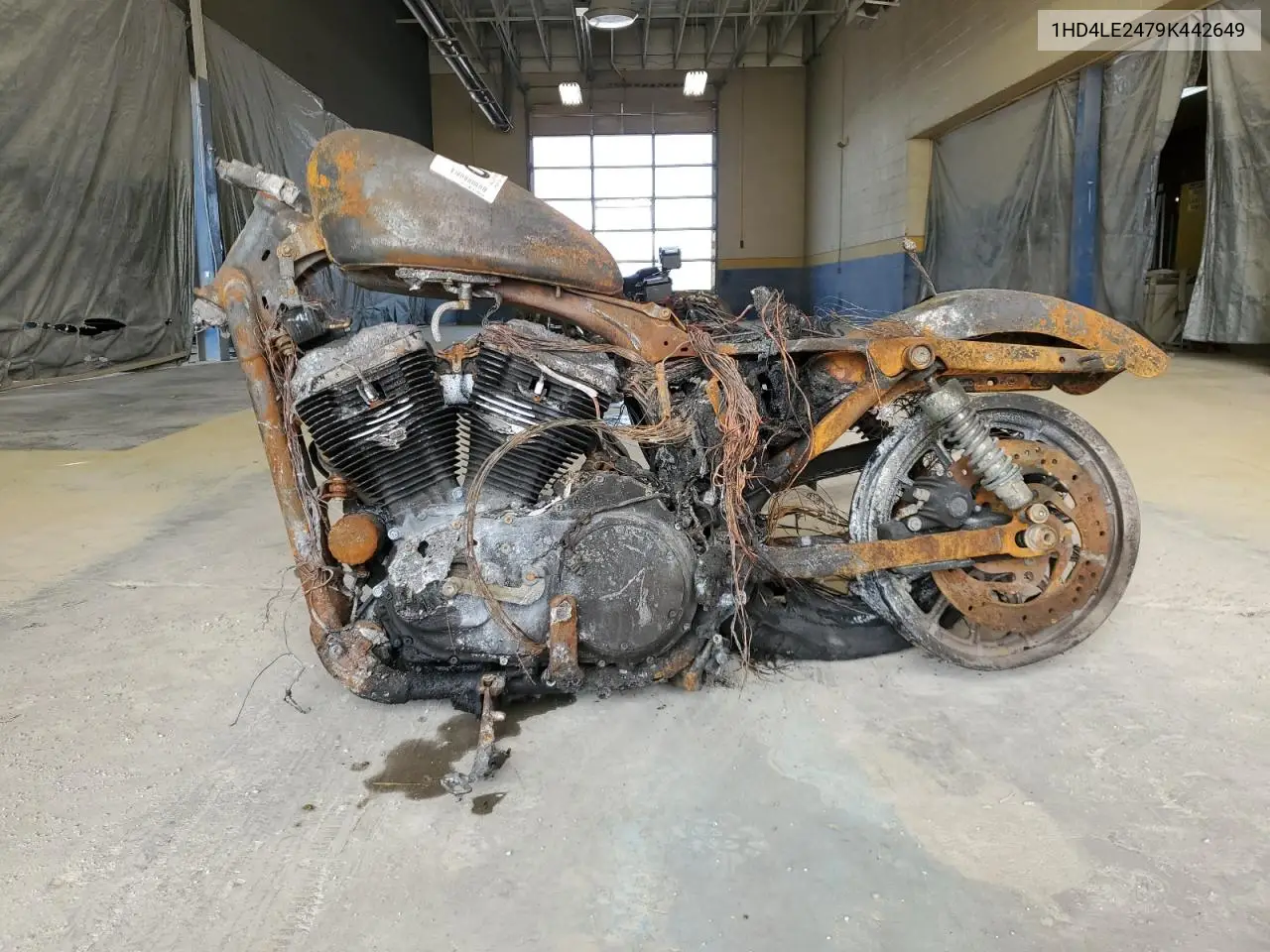 2009 Harley-Davidson Xl883 N VIN: 1HD4LE2479K442649 Lot: 78175925