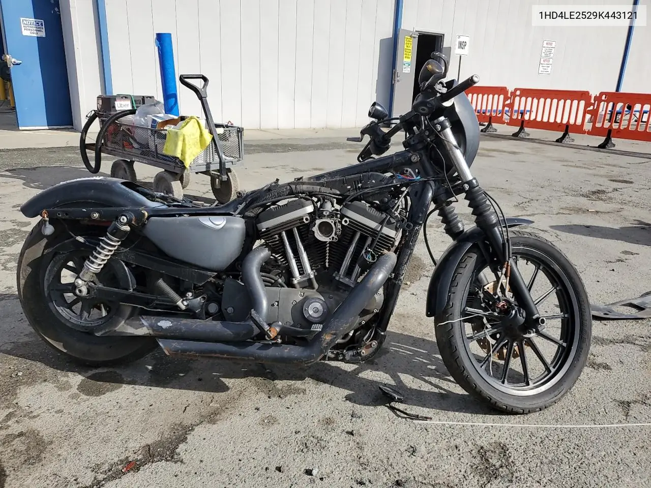 2009 Harley-Davidson Xl883 N VIN: 1HD4LE2529K443121 Lot: 93452865