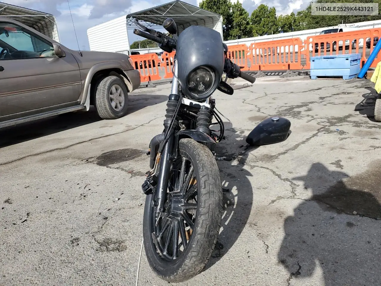 2009 Harley-Davidson Xl883 N VIN: 1HD4LE2529K443121 Lot: 93452865