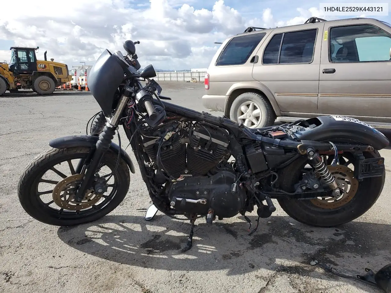 2009 Harley-Davidson Xl883 N VIN: 1HD4LE2529K443121 Lot: 93452865