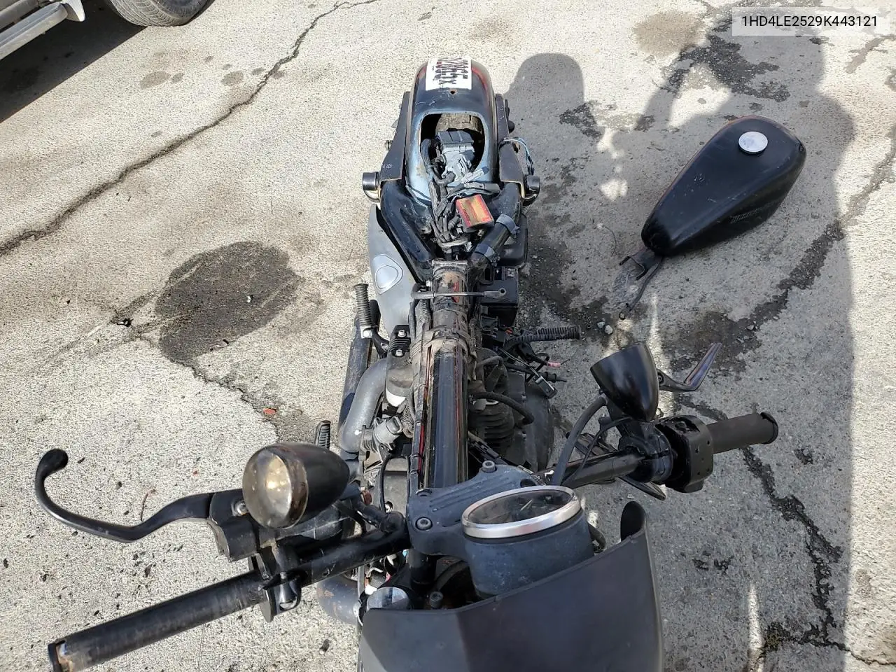 2009 Harley-Davidson Xl883 N VIN: 1HD4LE2529K443121 Lot: 93452865