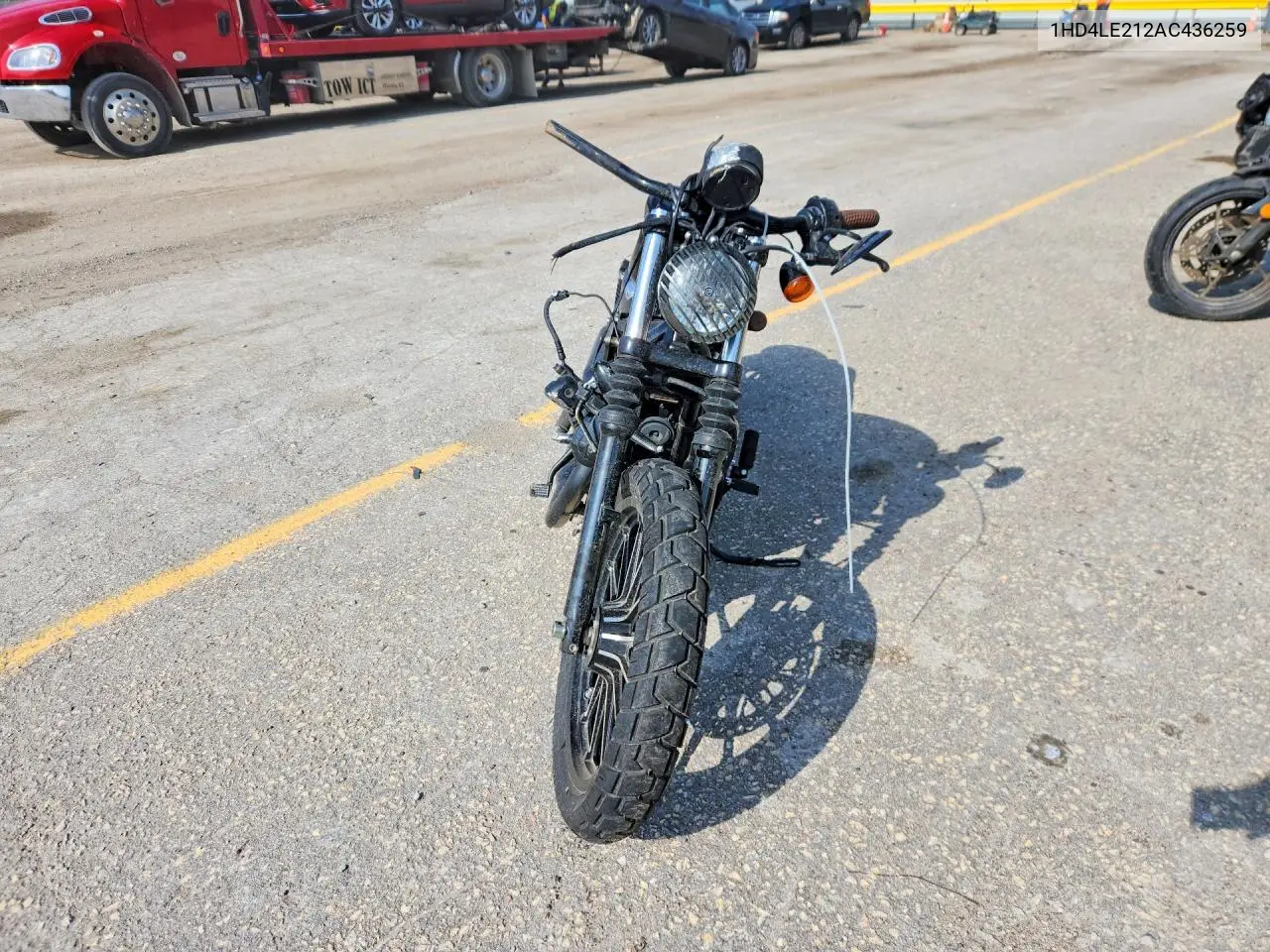 2010 Harley-Davidson Xl883 N VIN: 1HD4LE212AC436259 Lot: 55878996