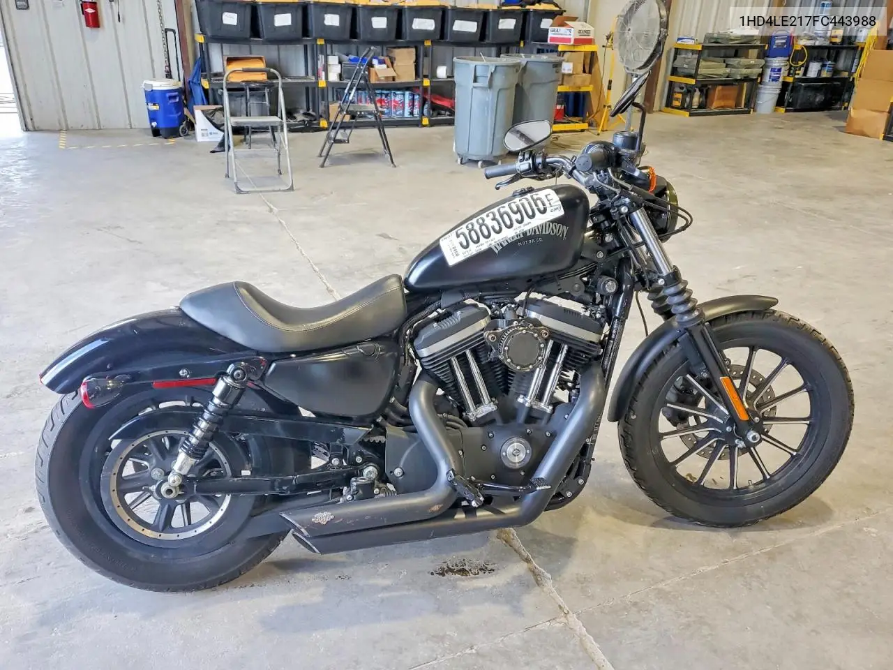 2015 Harley-Davidson Xl883 Iron 883 VIN: 1HD4LE217FC443988 Lot: 58836906