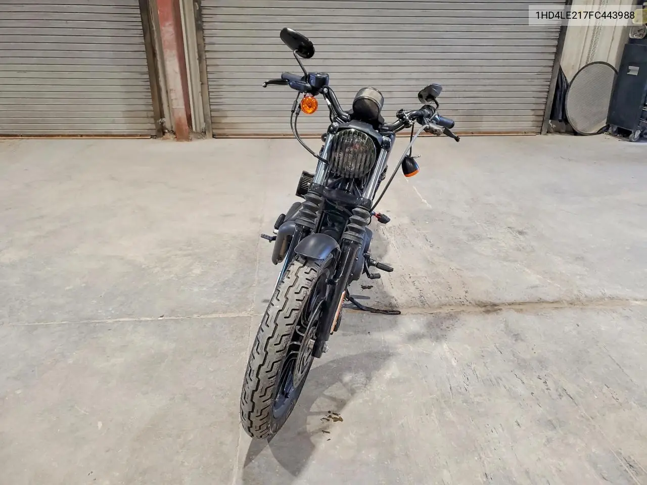 2015 Harley-Davidson Xl883 Iron 883 VIN: 1HD4LE217FC443988 Lot: 58836906