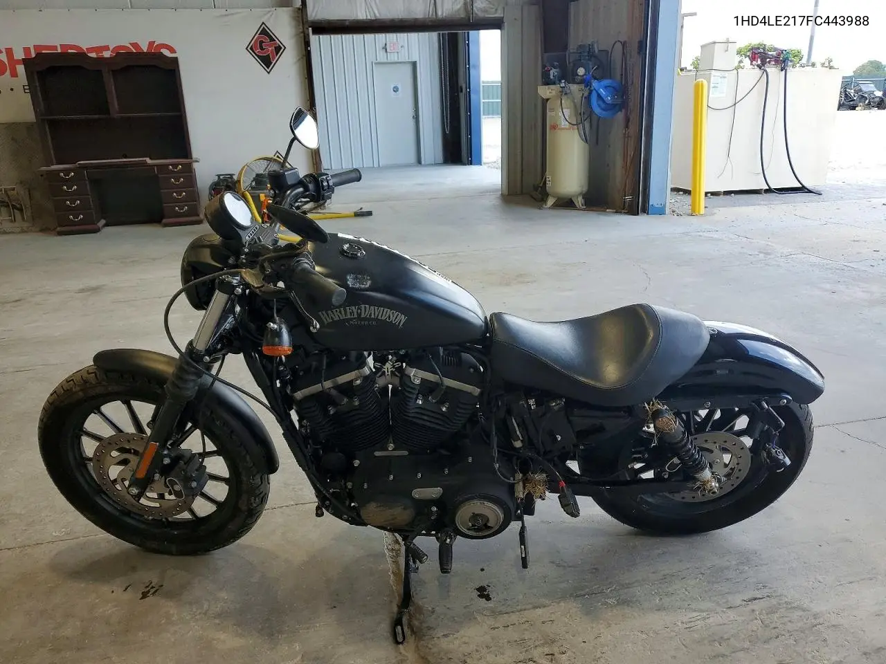 2015 Harley-Davidson Xl883 Iron 883 VIN: 1HD4LE217FC443988 Lot: 58836906