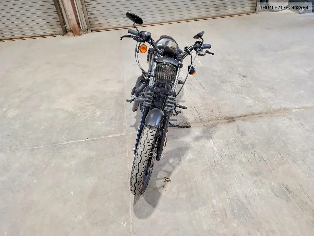 2015 Harley-Davidson Xl883 Iron 883 VIN: 1HD4LE217FC443988 Lot: 58836906
