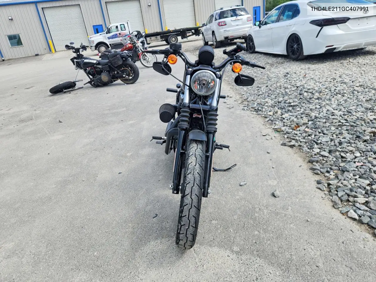 2016 Harley-Davidson Xl883 Iron 883 VIN: 1HD4LE211GC407991 Lot: 59159876