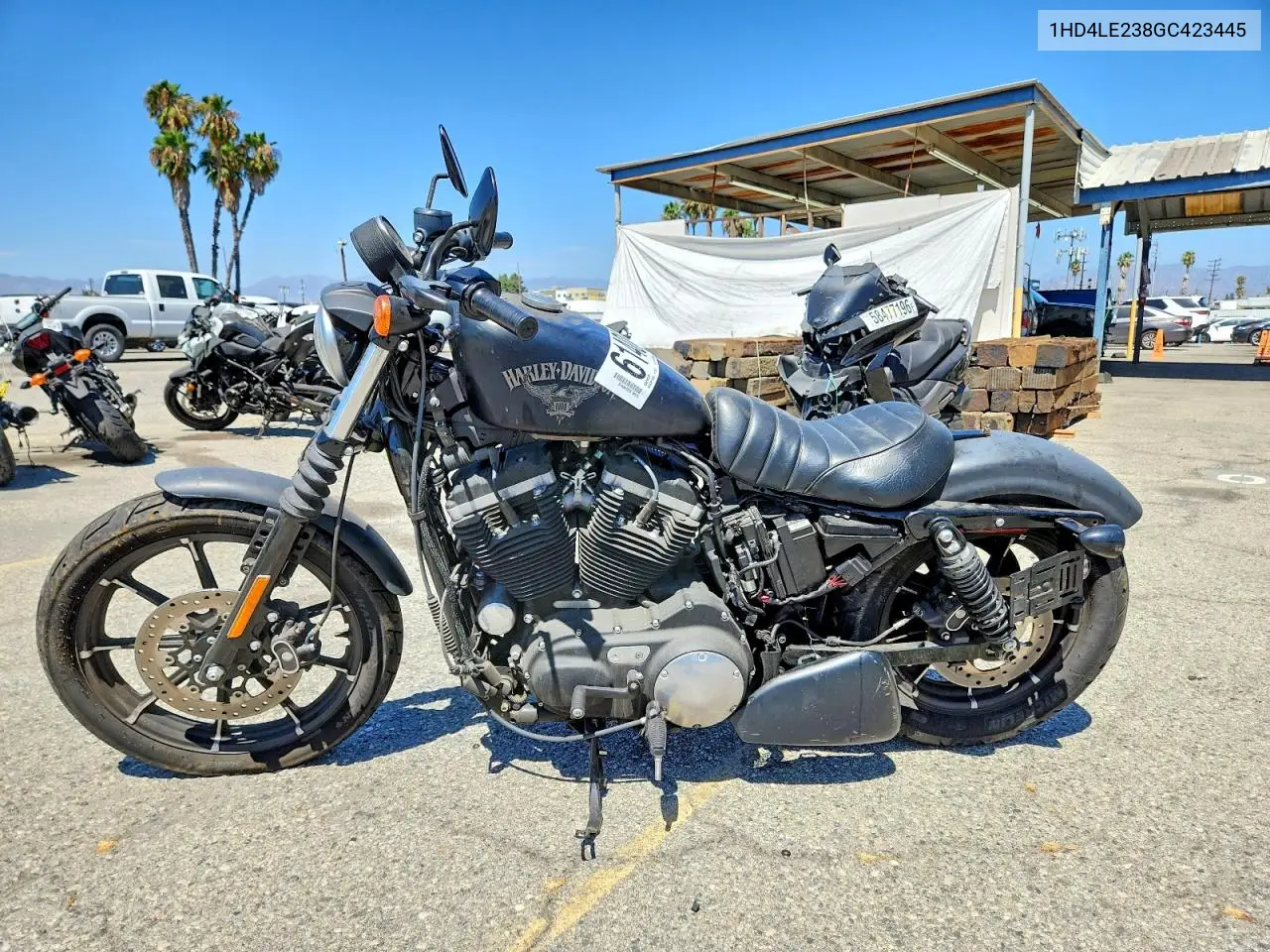 2016 Harley-Davidson Xl883 Iron 883 VIN: 1HD4LE238GC423445 Lot: 61408046