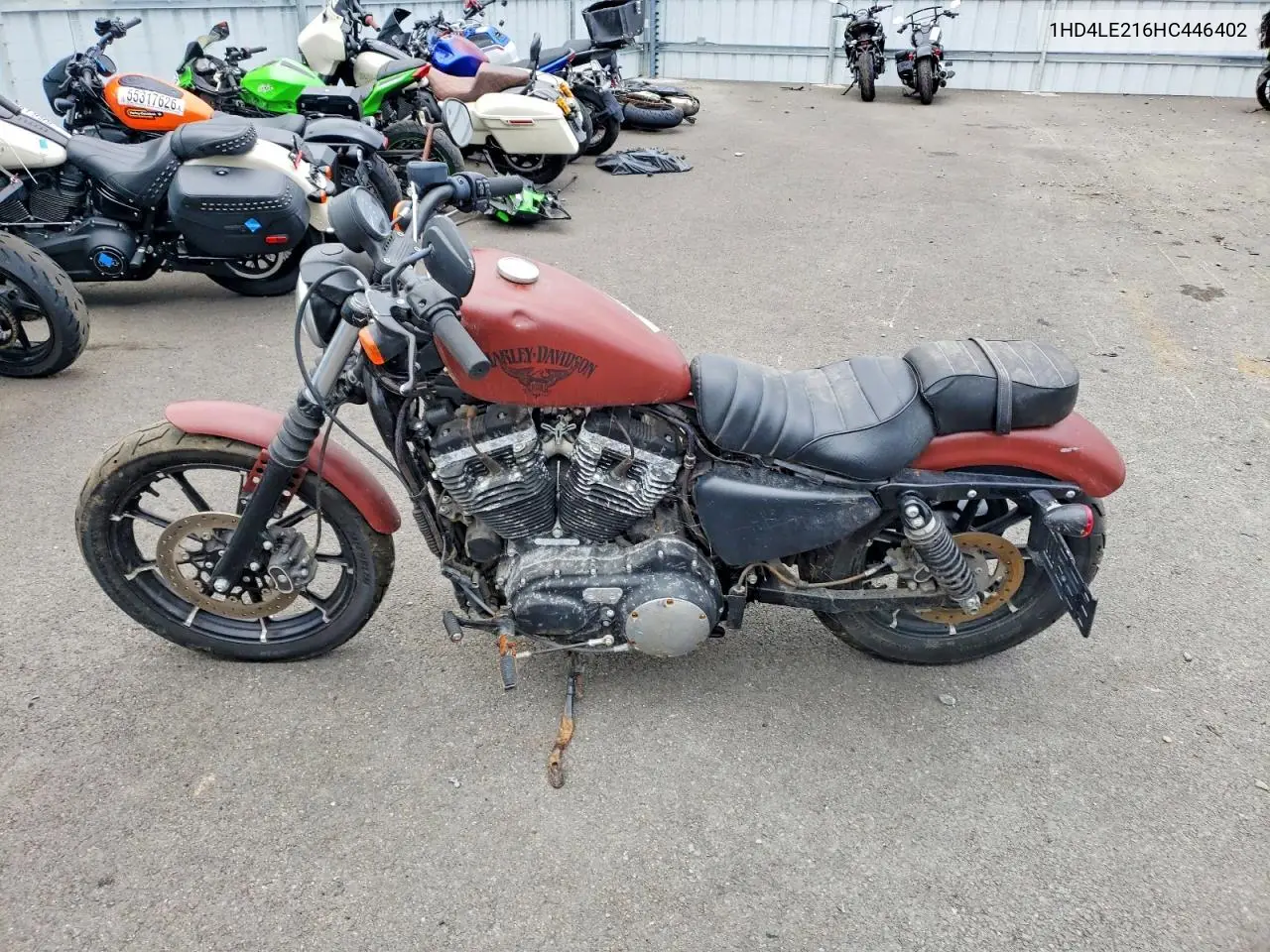 2017 Harley-Davidson Xl883 Iron 883 VIN: 1HD4LE216HC446402 Lot: 85608225
