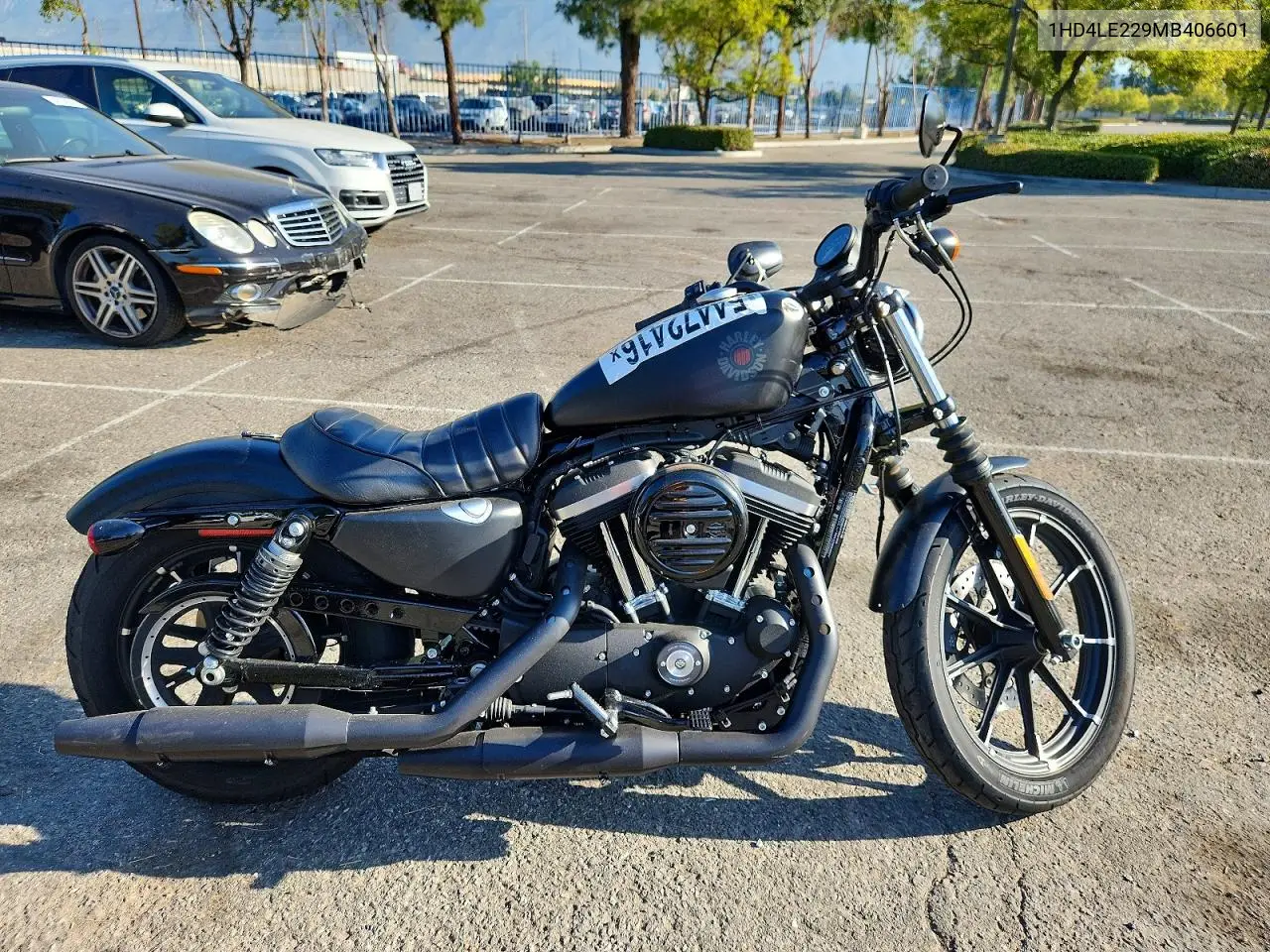 2021 Harley-Davidson Xl883 N VIN: 1HD4LE229MB406601 Lot: 54472416