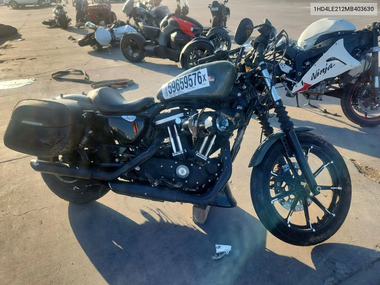 2021 Harley-Davidson Xl883 N VIN: 1HD4LE212MB403630 Lot: 59659576