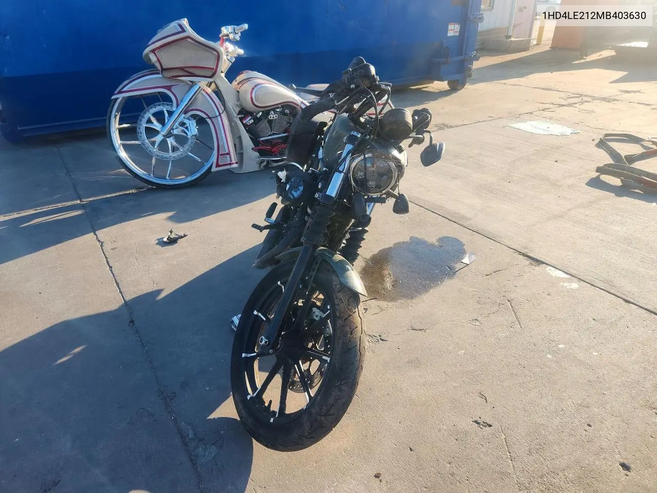 2021 Harley-Davidson Xl883 N VIN: 1HD4LE212MB403630 Lot: 59659576