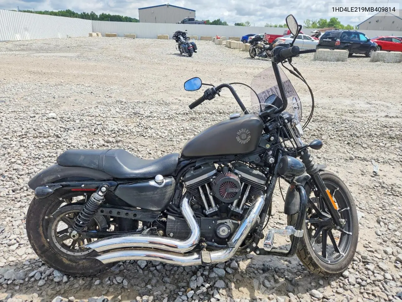2021 Harley-Davidson Xl883 N VIN: 1HD4LE219MB409814 Lot: 60611416