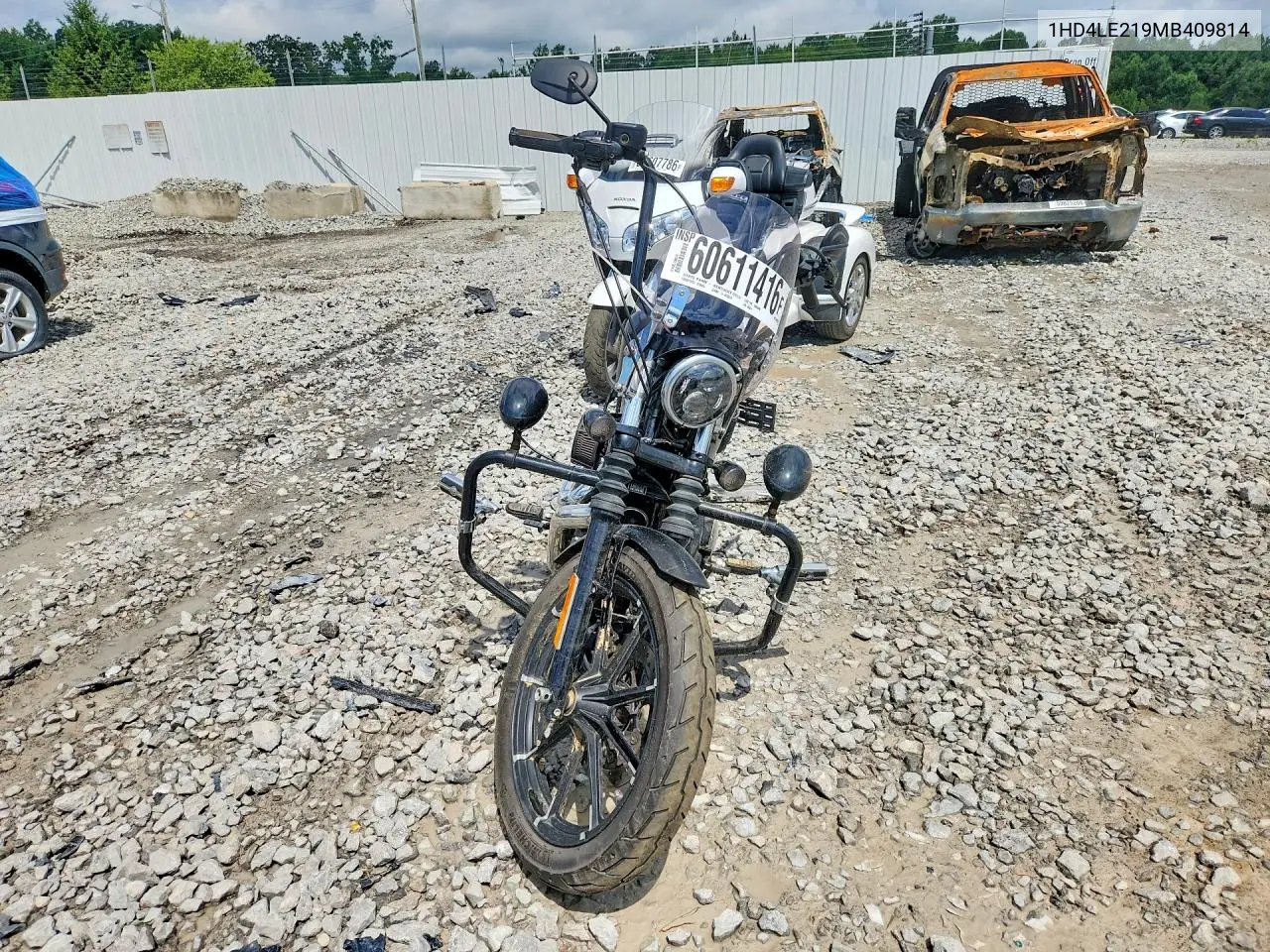 2021 Harley-Davidson Xl883 N VIN: 1HD4LE219MB409814 Lot: 60611416