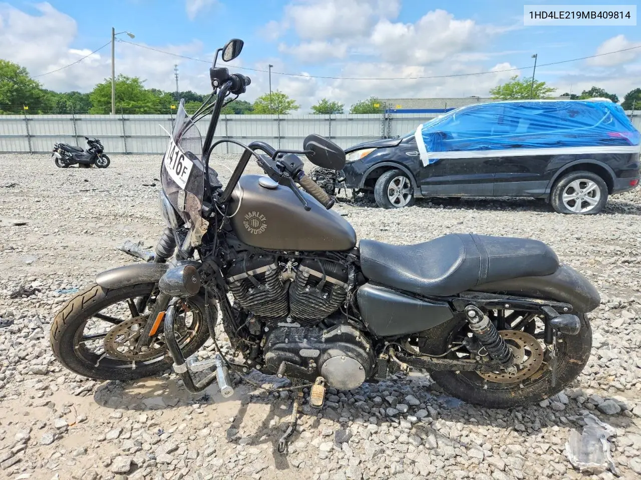 2021 Harley-Davidson Xl883 N VIN: 1HD4LE219MB409814 Lot: 60611416