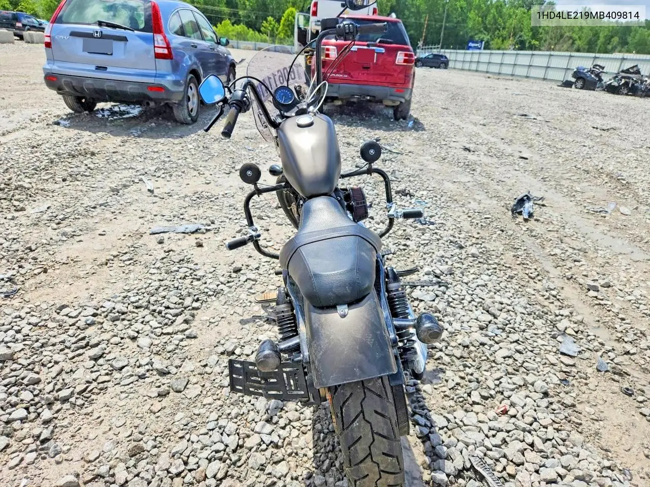 2021 Harley-Davidson Xl883 N VIN: 1HD4LE219MB409814 Lot: 60611416
