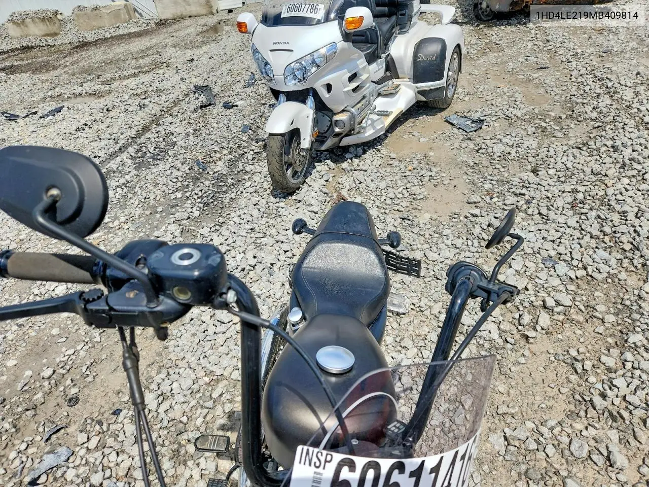 2021 Harley-Davidson Xl883 N VIN: 1HD4LE219MB409814 Lot: 60611416