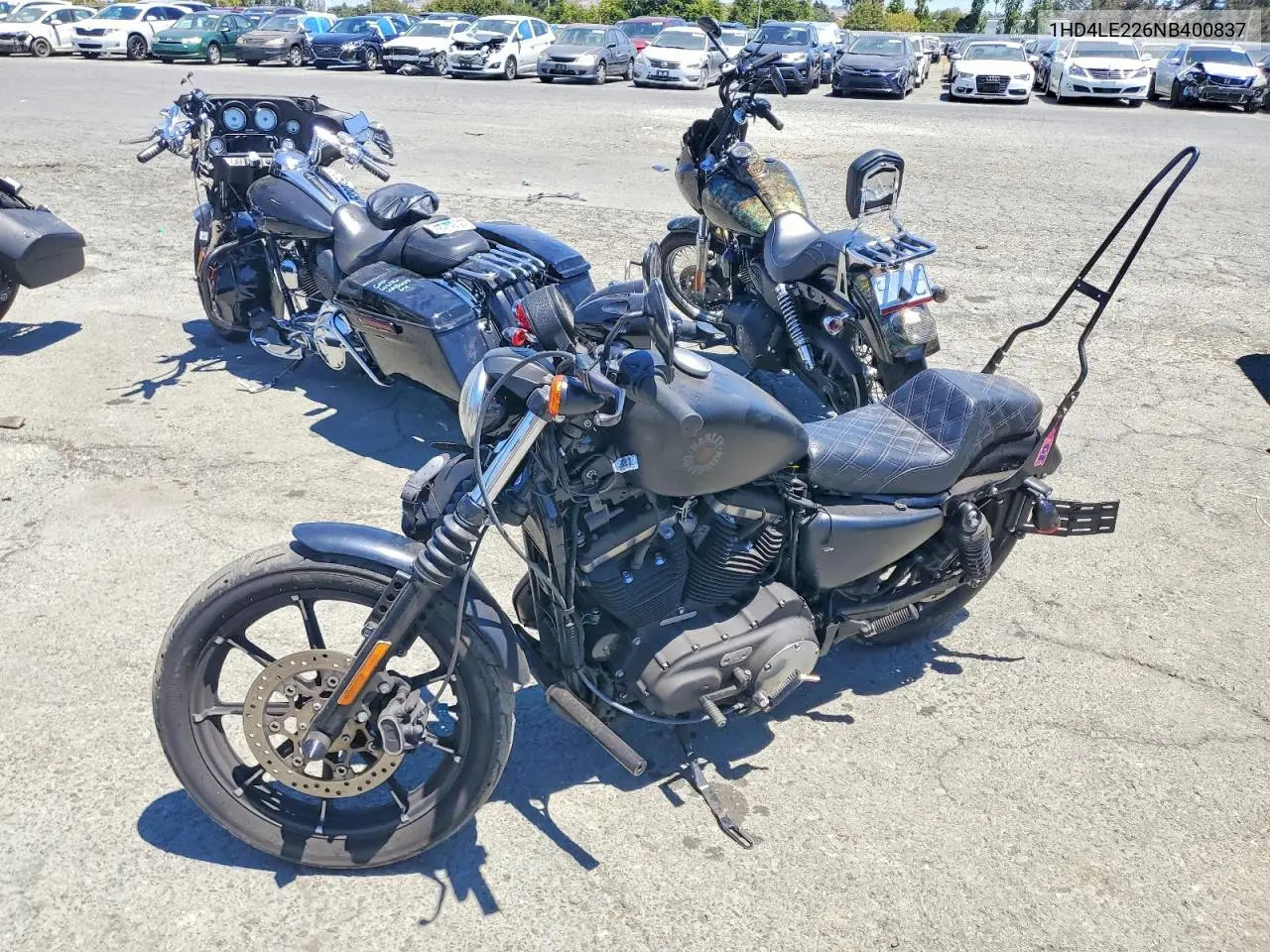 2022 Harley-Davidson Xl883 N VIN: 1HD4LE226NB400837 Lot: 60386766