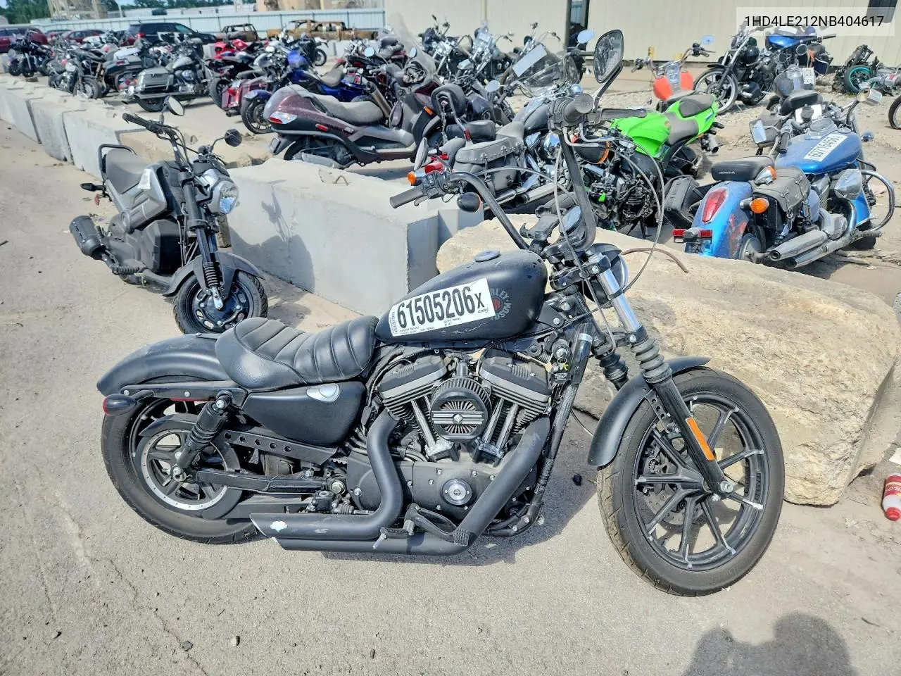 2022 Harley-Davidson Xl883 N VIN: 1HD4LE212NB404617 Lot: 61505206