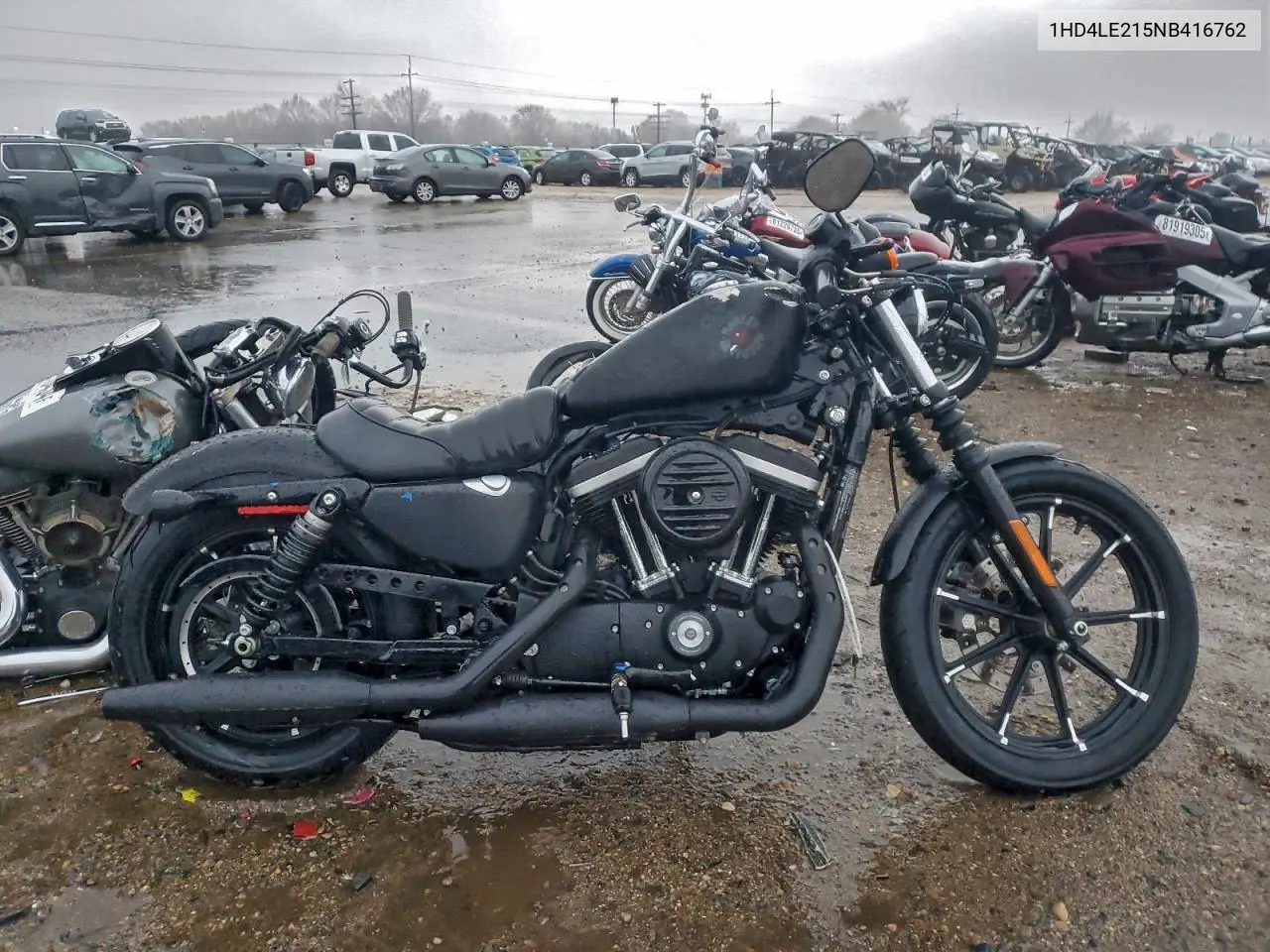 2022 Harley Davidson Xl883 VIN: 1HD4LE215NB416762 Lot: 97661505