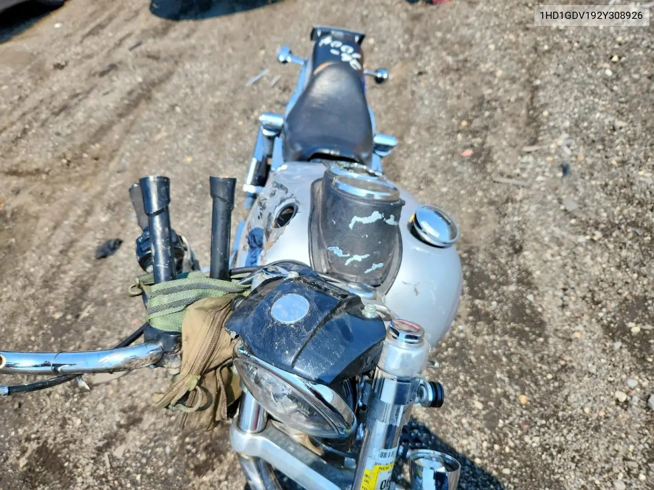 2002 Harley-Davidson Fxdl VIN: 1HD1GDV192Y308926 Lot: 59095516