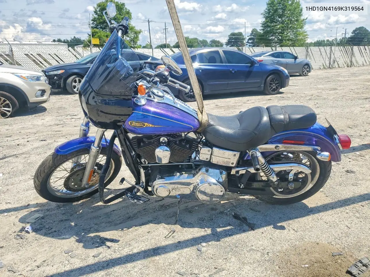 2009 Harley-Davidson Fxdl VIN: 1HD1GN4169K319564 Lot: 57871856