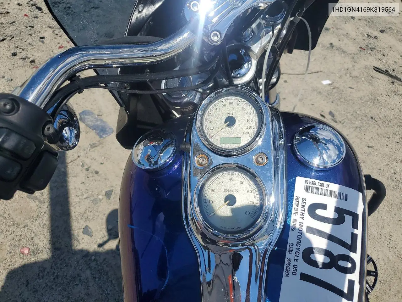 2009 Harley-Davidson Fxdl VIN: 1HD1GN4169K319564 Lot: 57871856