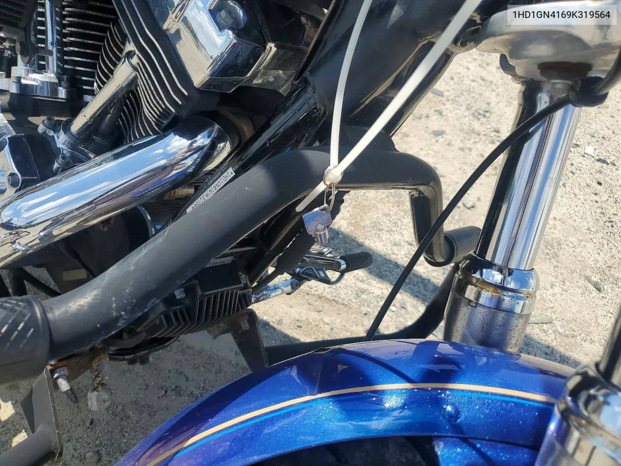 2009 Harley-Davidson Fxdl VIN: 1HD1GN4169K319564 Lot: 57871856