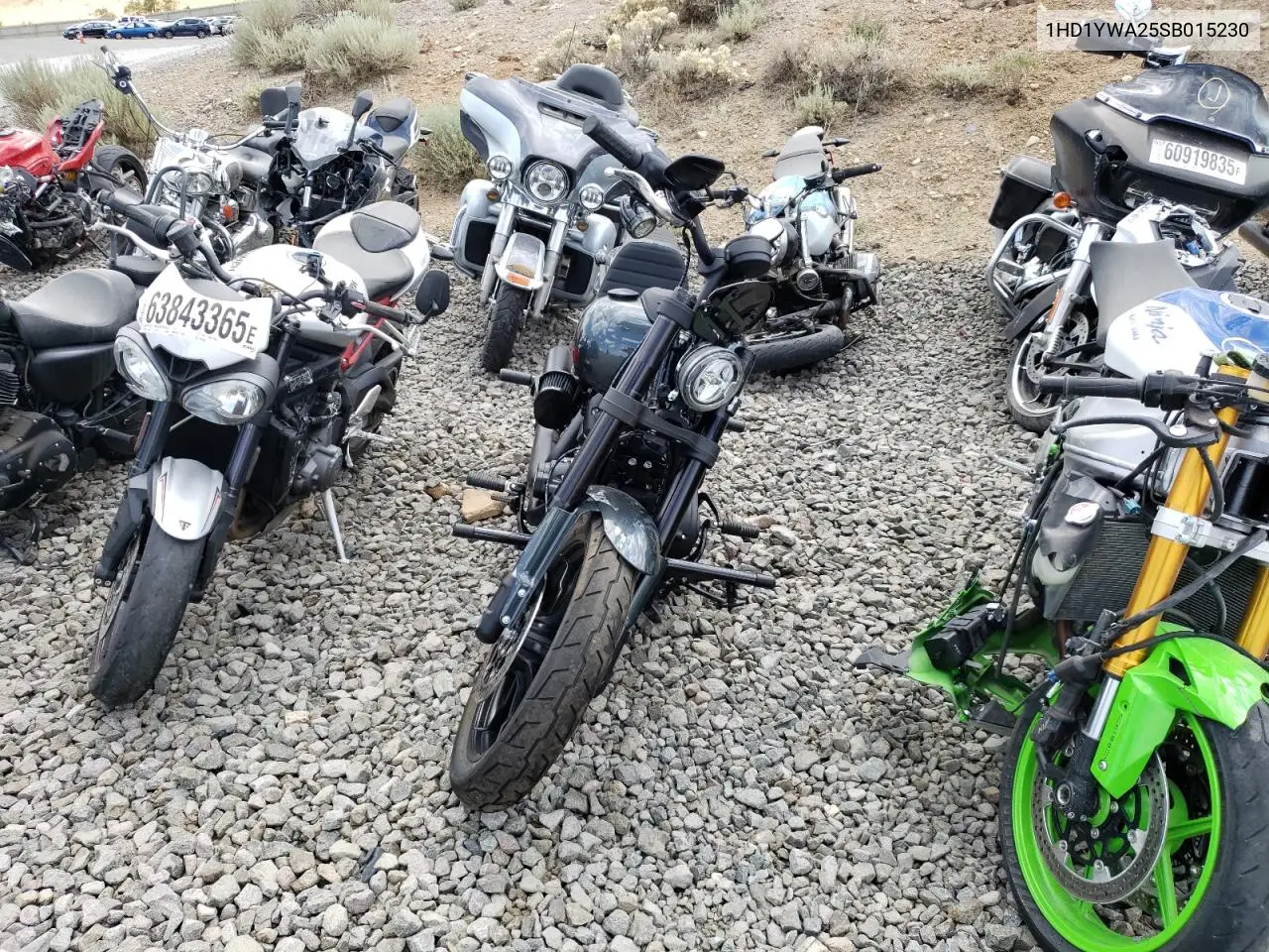 2025 Harley-Davidson Fxlrs VIN: 1HD1YWA25SB015230 Lot: 86319895