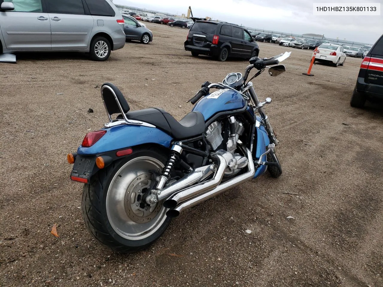 Night Rod Special