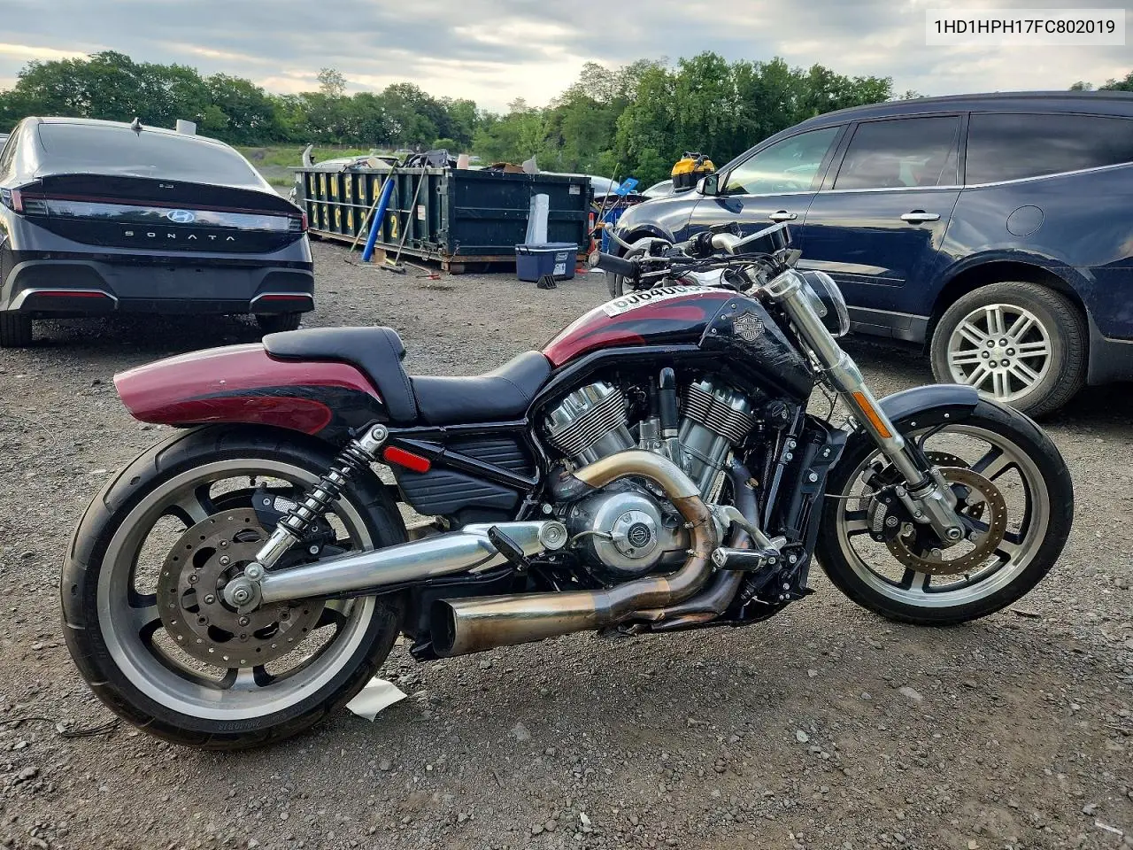 2015 Harley-Davidson Vrscf Vrod Muscle VIN: 1HD1HPH17FC802019 Lot: 60640056