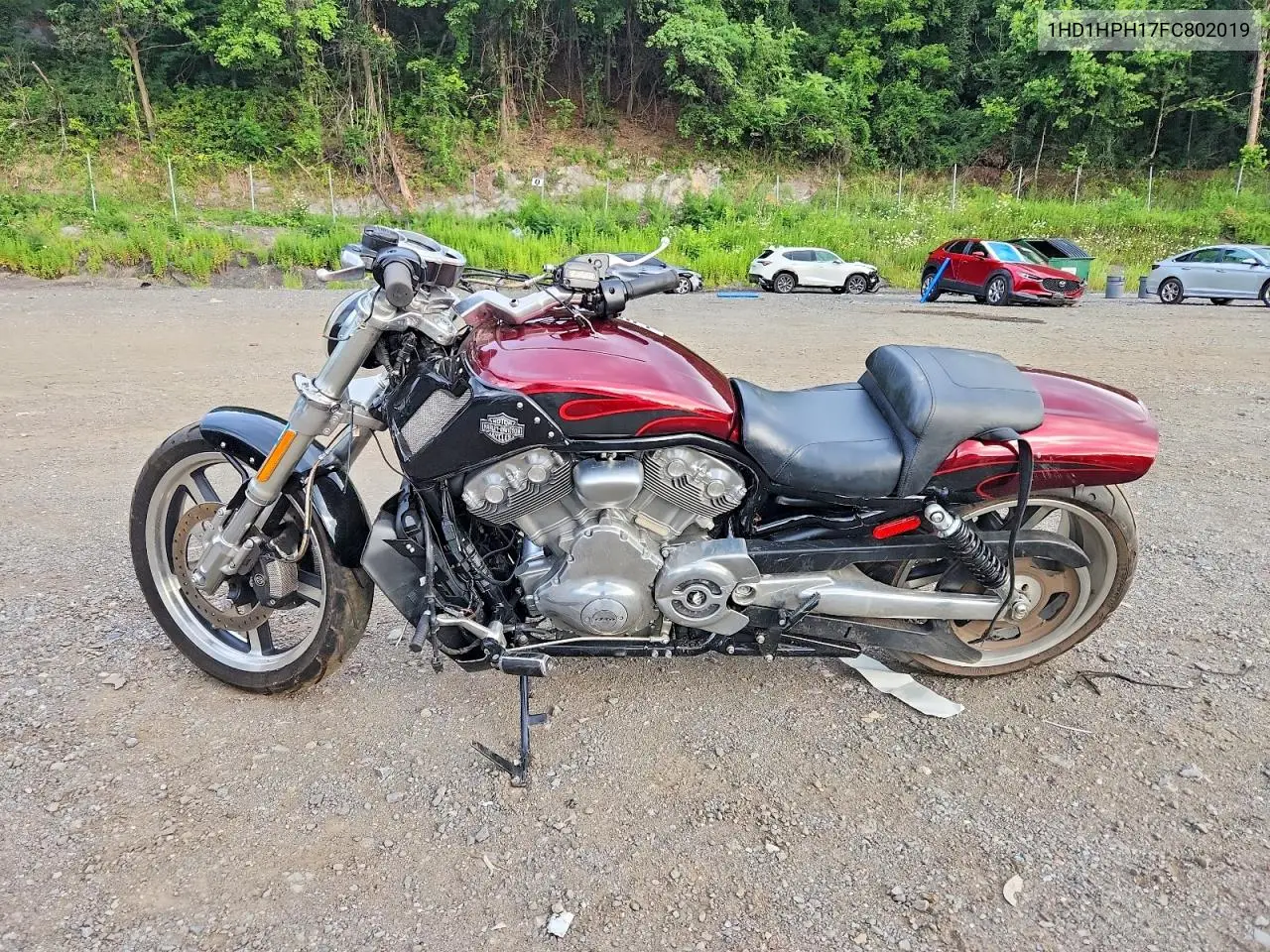 2015 Harley-Davidson Vrscf Vrod Muscle VIN: 1HD1HPH17FC802019 Lot: 60640056