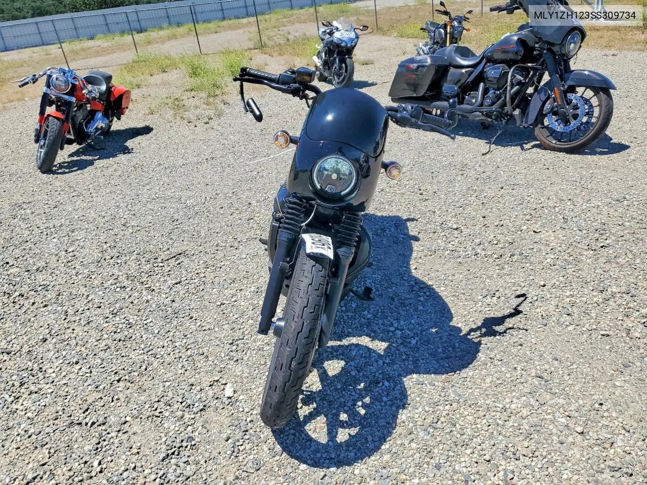 Nightster