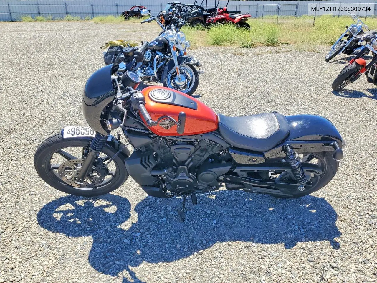 Nightster