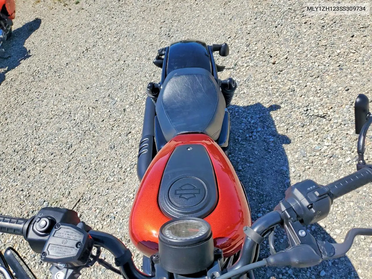 Nightster