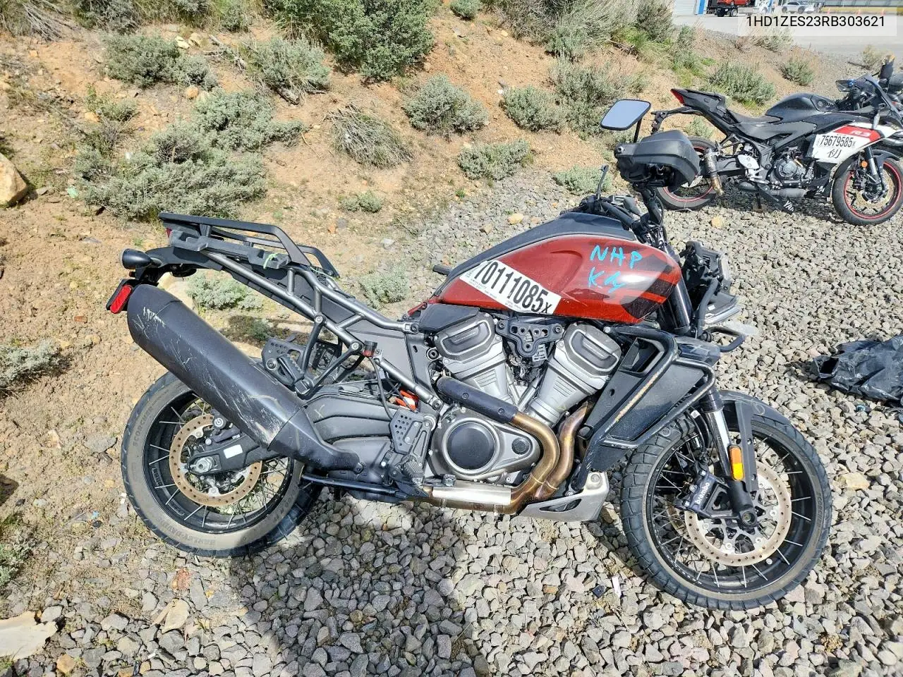 2024 Harley Davidson Ra1250 S VIN: 1HD1ZES23RB303621 Lot: 48705026