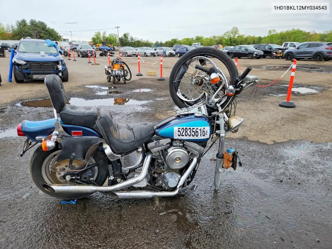 1991 Harley-Davidson Fxst Custom VIN: 1HD1BKL12MY034543 Lot: 52835616