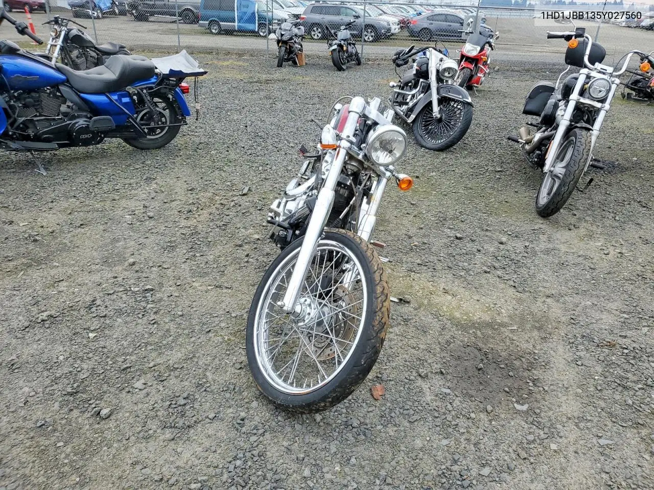 softail