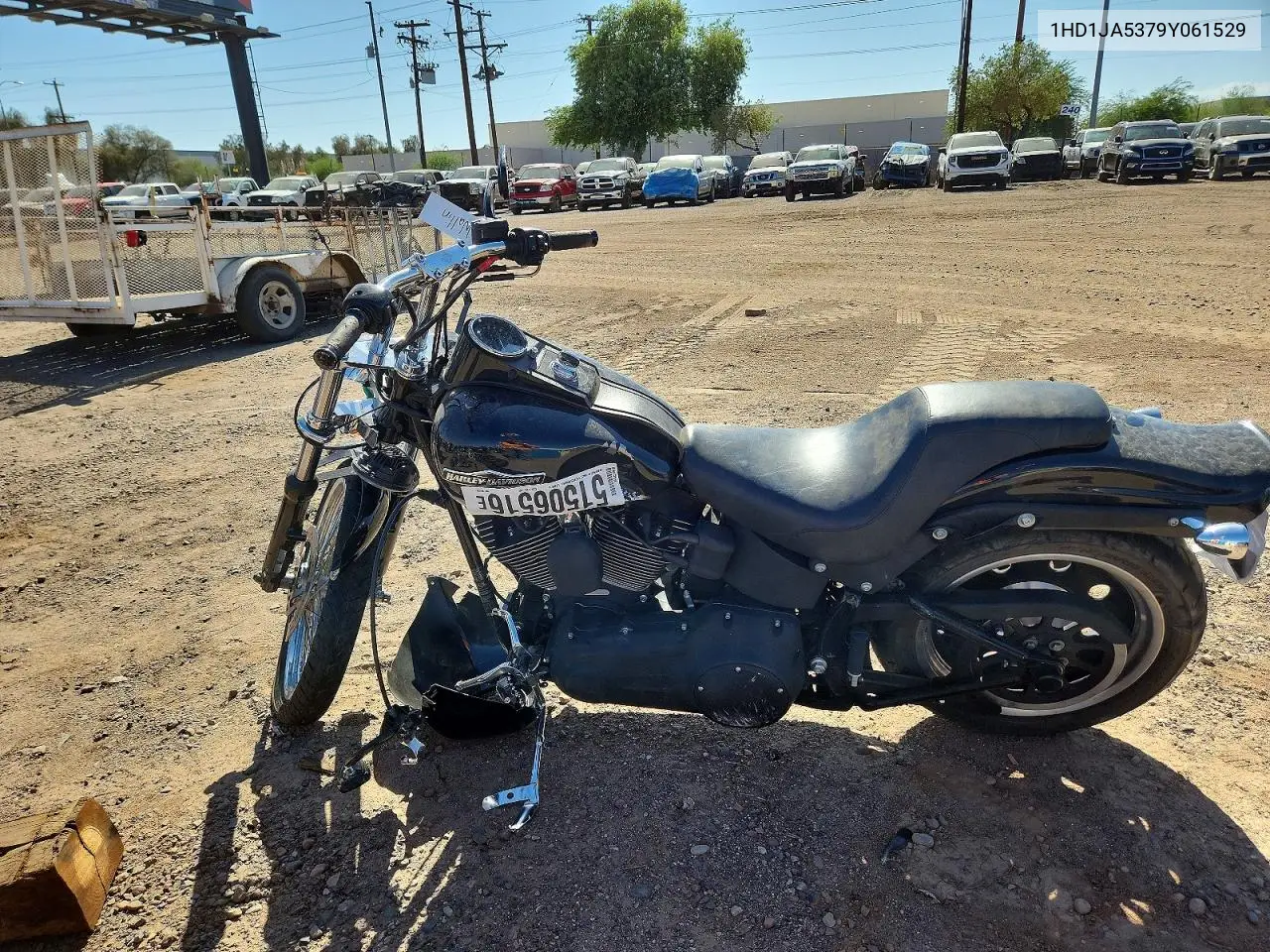 softail